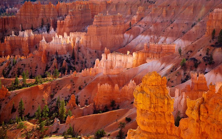 скалы, пустыня, оранжевый, брайс-каньон, плато юта, rocks, desert, orange, bryce canyon, plateau utah