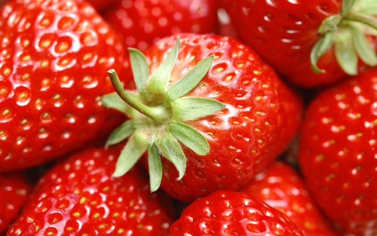 лето, еда, клубника, красный, ягоды, summer, food, strawberry, red, berries