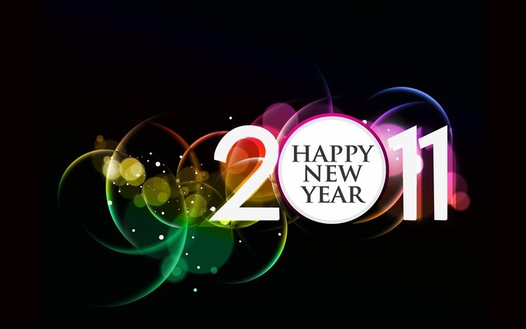 новый год, праздник, веселье, 2011 год, new year, holiday, fun, 2011
