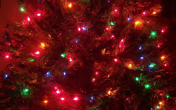 огни, новый год, елка, украшения, lights, new year, tree, decoration
