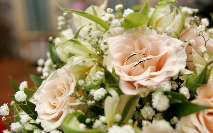 розы, букет, свадьба, обручальные кольца, roses, bouquet, wedding, engagement rings