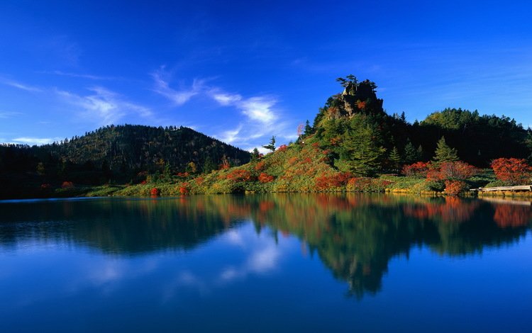 вода, озеро, лес, отражение, япония, water, lake, forest, reflection, japan