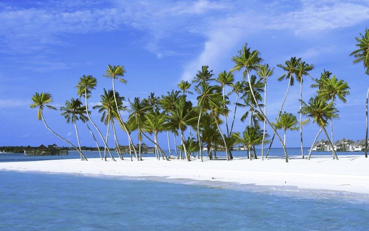 песок, пальмы, остров, sand, palm trees, island