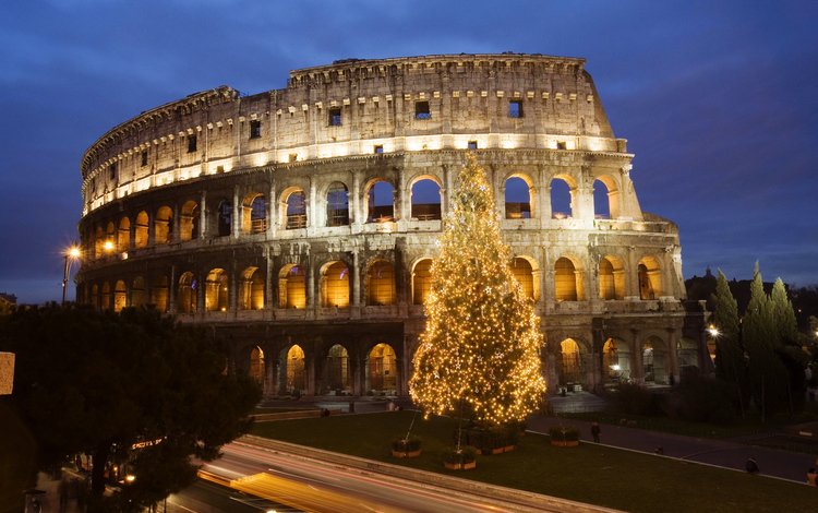 елка, италия, колизей, рим, tree, italy, colosseum, rome