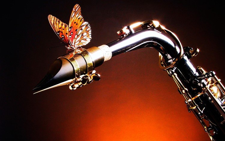 бабочка, крылья, саксофон, butterfly, wings, saxophone