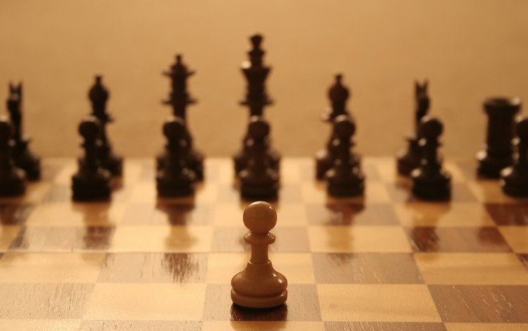 воин, поле, шахматы, в, один, и, warrior, field, chess, in, one, and