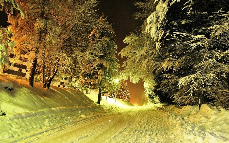дорога, деревья, фонари, снег, зима, road, trees, lights, snow, winter