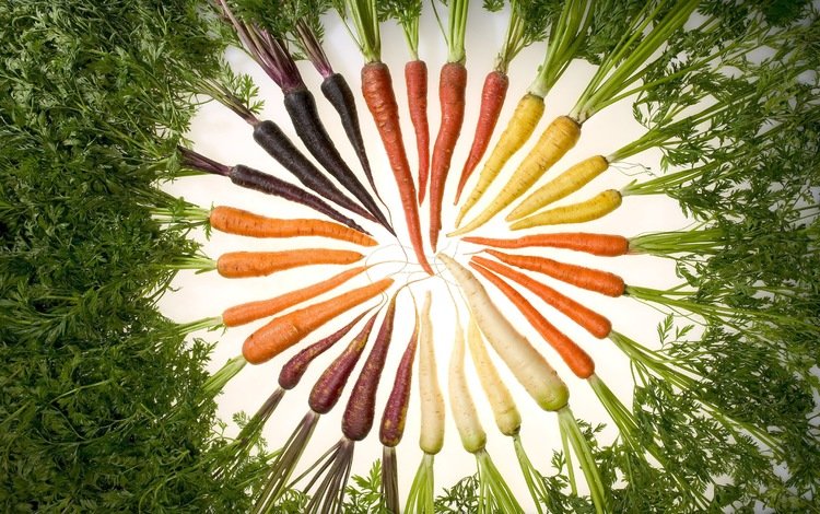 еда, морковь, изобилие цвета, food, carrots, a profusion of color