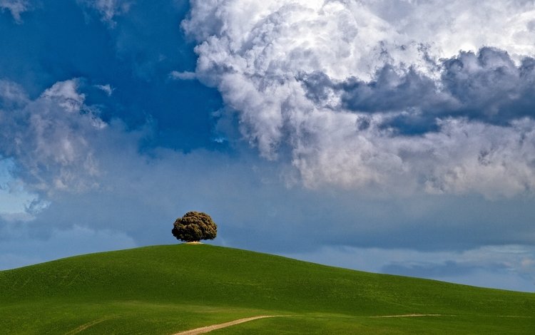 облака, дерево, холм, clouds, tree, hill