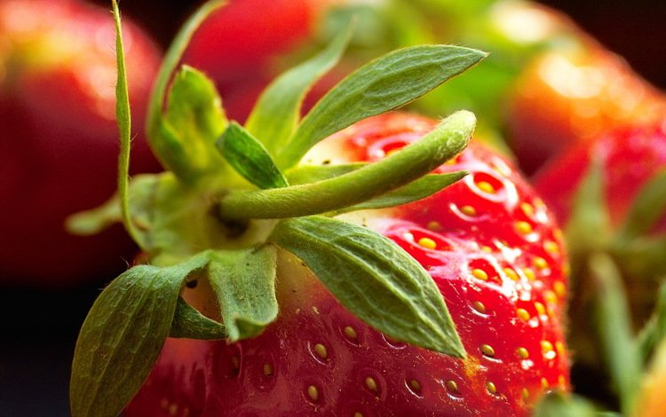 макро, ягода, красная, клубника, macro, berry, red, strawberry