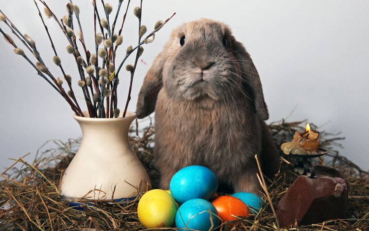 кролик, свеча, пасха, яйца, солома, верба, rabbit, candle, easter, eggs, straw, verba