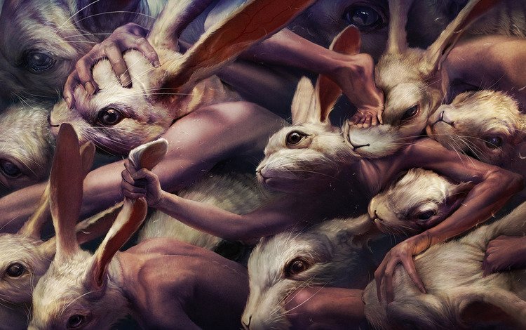 кролики, ryohei hase, драка, мутанты, rabbits, fight, mutants