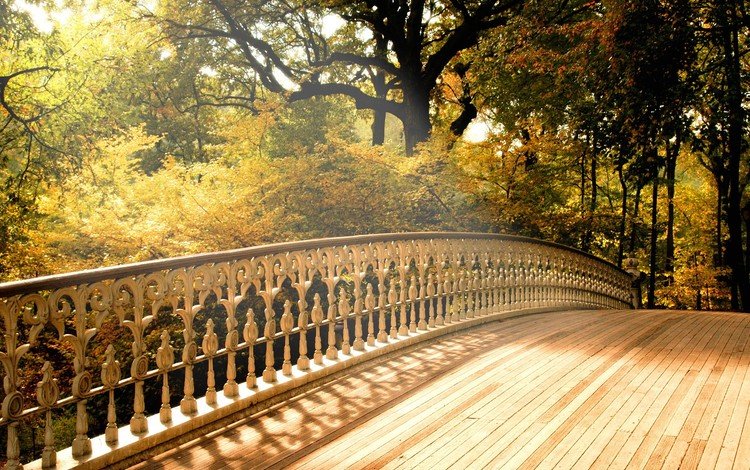 деревья, мост, осень, trees, bridge, autumn