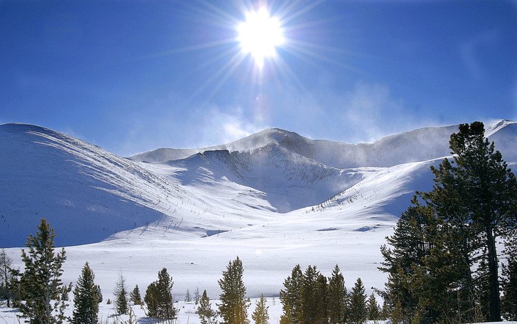 горы, солнце, снег, зима, россия, ель, mountains, the sun, snow, winter, russia, spruce