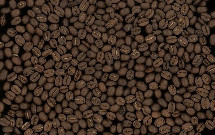 текстуры, макро, фото, фон, зерна, кофе, кофейные зерна, texture, macro, photo, background, grain, coffee, coffee beans