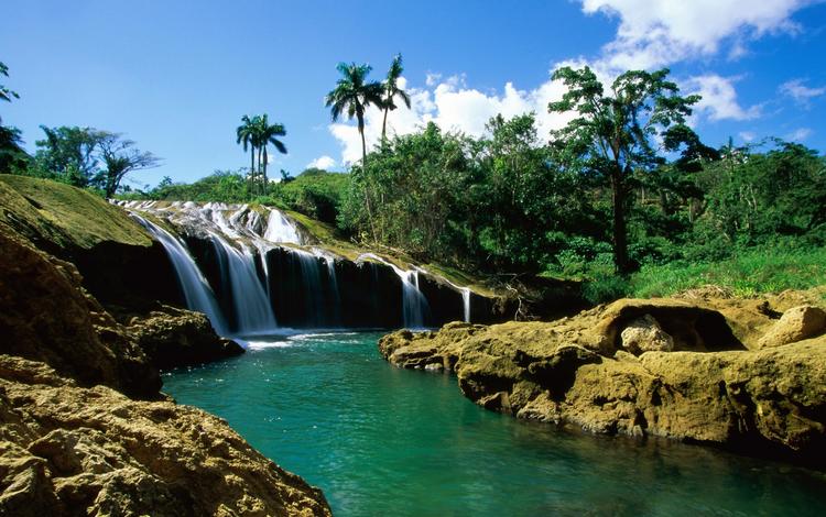 река, водопад, пальмы, river, waterfall, palm trees
