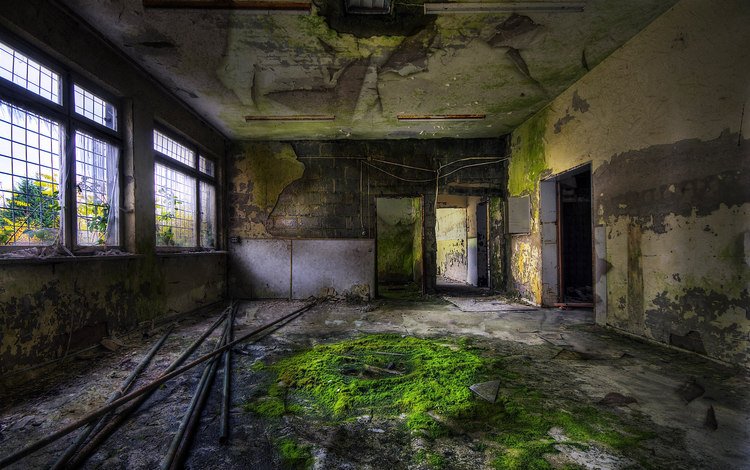 мох, трубы, заброшенное здание, moss, pipe, abandoned building