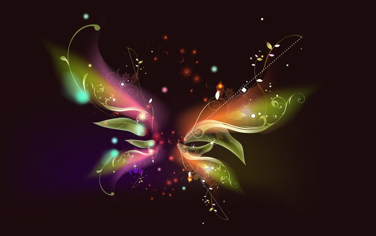 цветы, абстракция, линии, узор, бабочка, темный фон, звездочки, flowers, abstraction, line, pattern, butterfly, the dark background, stars