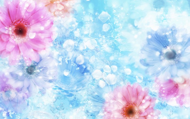 вода, цветок, отблеск, water, flower, the reflection