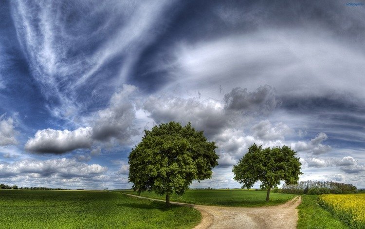 небо, выбор, дорога, сенокос, трава, деревья, поле, тропинка, красиво, развилка, the sky, choice, road, hay, grass, trees, field, path, beautiful, fork