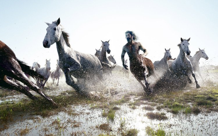лошади, бег, кентавр, horse, running, centaur