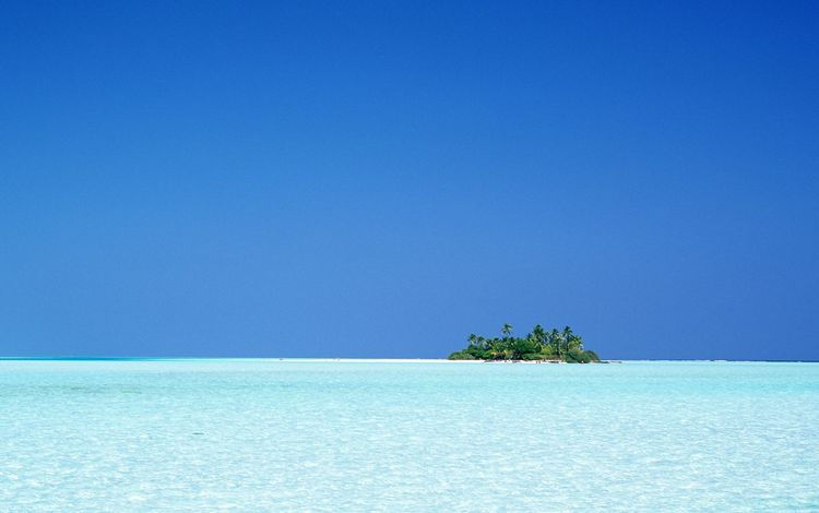 небо, пальмы, океан, остров, the sky, palm trees, the ocean, island