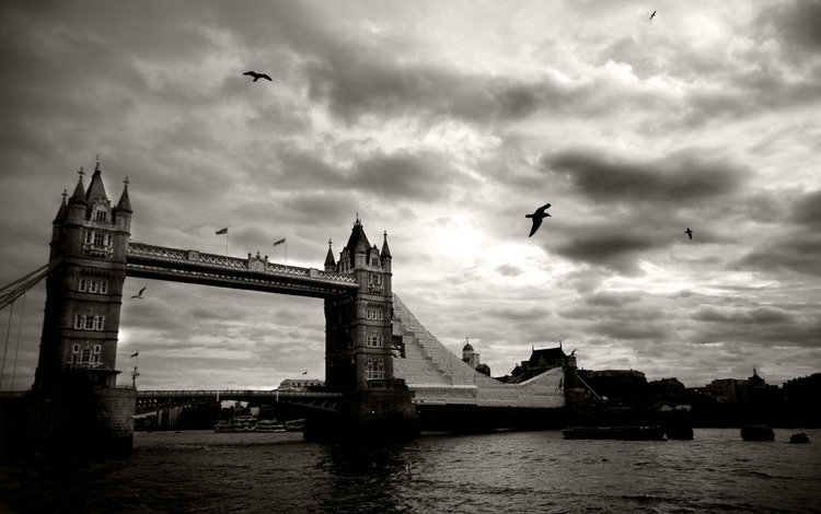 небо, птицы, облака, чёрно-белый, река, тауэрский мост, мост, великобритания, лондон, темза, город, the sky, birds, clouds, black and white, tower bridge, river, bridge, uk, london, thames, the city