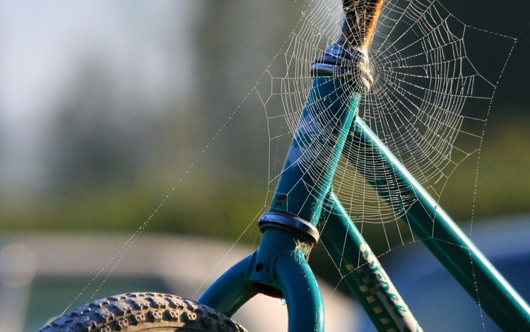 паутина, велосипед, web, bike