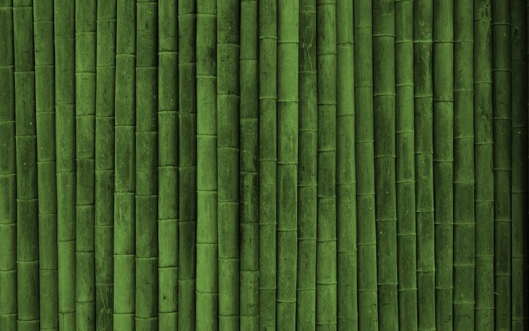 обои, текстуры, бамбук, texture wallpapers, green style, wallpaper, texture, bamboo