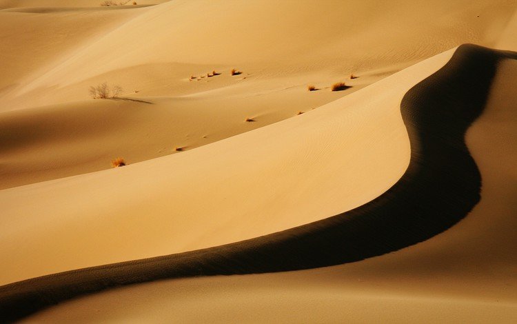 пустыня, тень, бархан, desert, shadow, barkhan