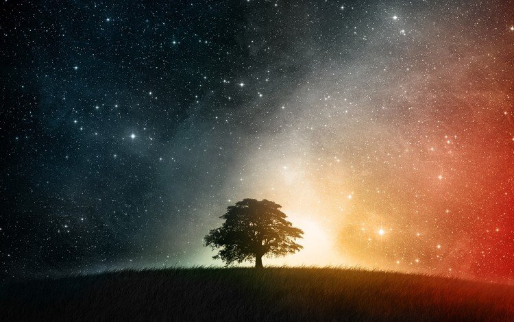 ночь, дерево, звезды, холм, night, tree, stars, hill