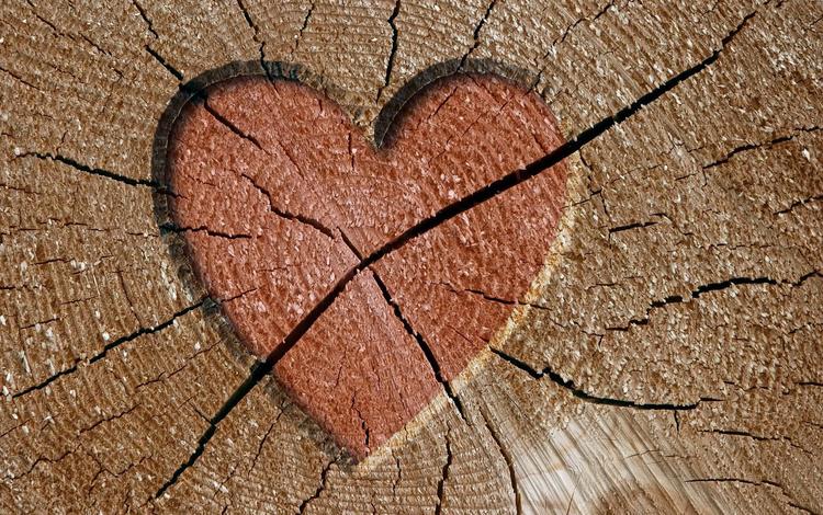 дерево, сердце, трещины, tree, heart, cracked
