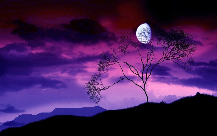 ночь, дерево, ветки, луна, night, tree, branches, the moon