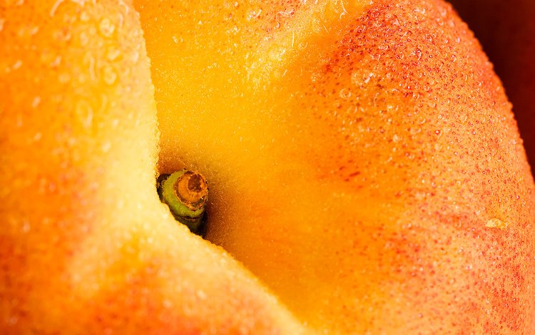 фрукт, персик, крупным планом, fruit, peach, closeup