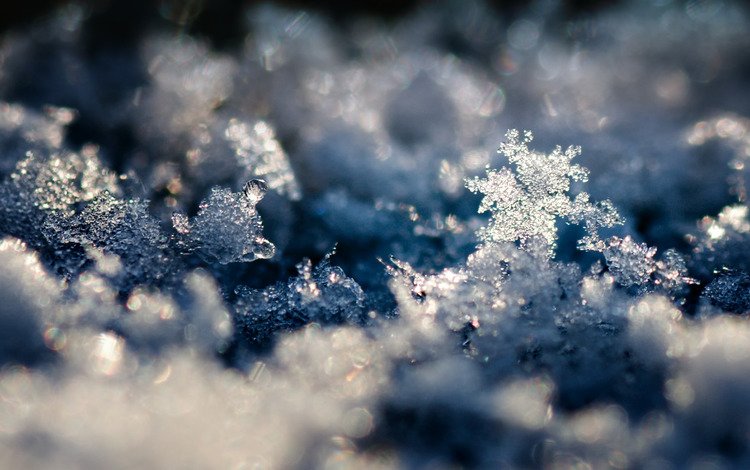 снег, обои, зима, макро, снежинки, фото, фон, snow, wallpaper, winter, macro, snowflakes, photo, background