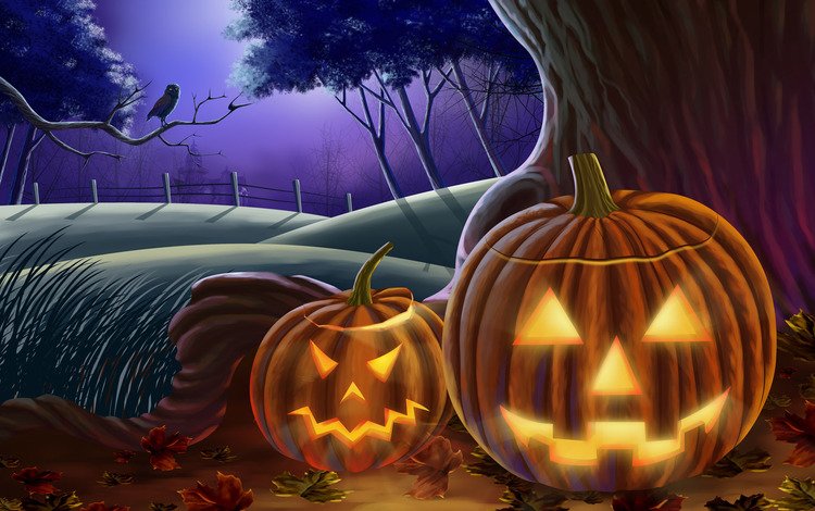 сова, хэллоуин, хеллоуин, тыквы, owl, halloween, pumpkin