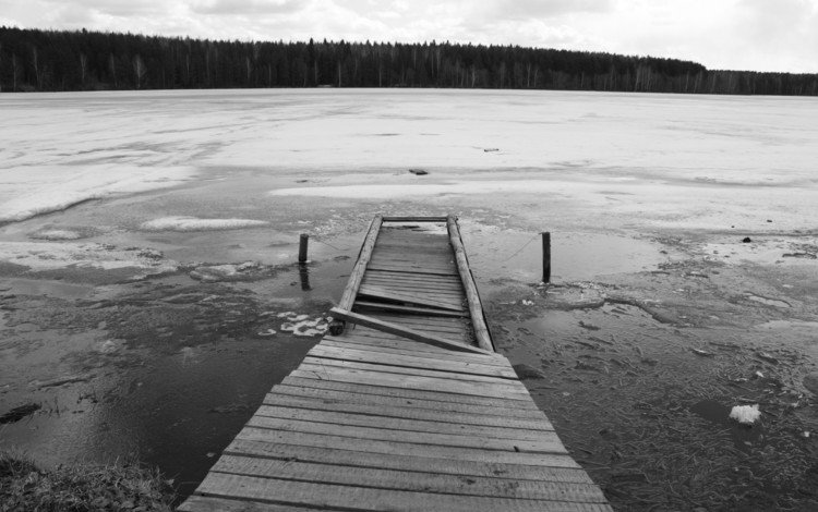 озеро, лес, мост, черно-белая, лёд, lake, forest, bridge, black and white, ice