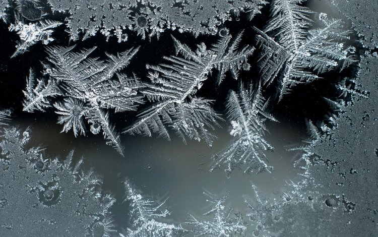 мороз, иней, стекло, frost, glass