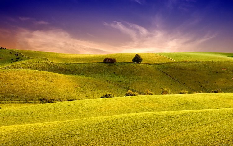 небо, трава, холмы, природа, обои, пейзаж, поля, поле, the sky, grass, hills, nature, wallpaper, landscape, field