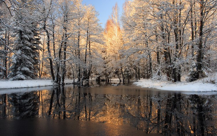 река, снег, лес, зима, корка, льда, river, snow, forest, winter, cork, ice