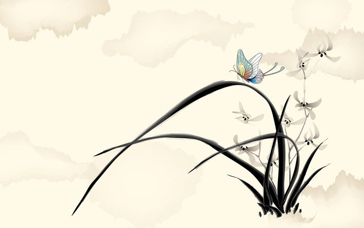 цветы, рисунок, бабочка, flowers, figure, butterfly