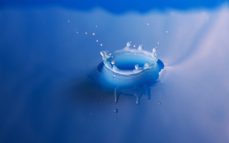 вода, синий, брызги, молоко, water, blue, squirt, milk