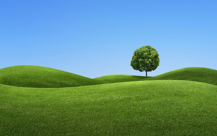 холмы, дерево, зелёный, синий, hills, tree, green, blue
