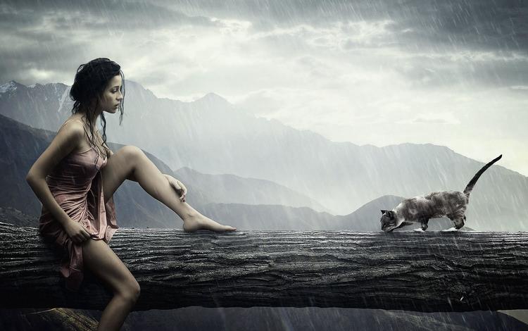девушка, кошка, дождь, девушка и кошка на мокром дереве под дождем, girl, cat, rain, a girl and a cat on a wet wood in the rain