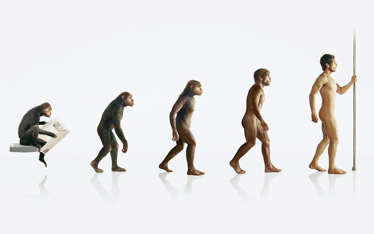 человек, обезьяна, эволюция, people, monkey, evolution