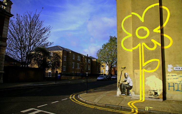 цветок, улица, граффити, banksy, графитти, маляр, цветком, flower, street, graffiti, painter