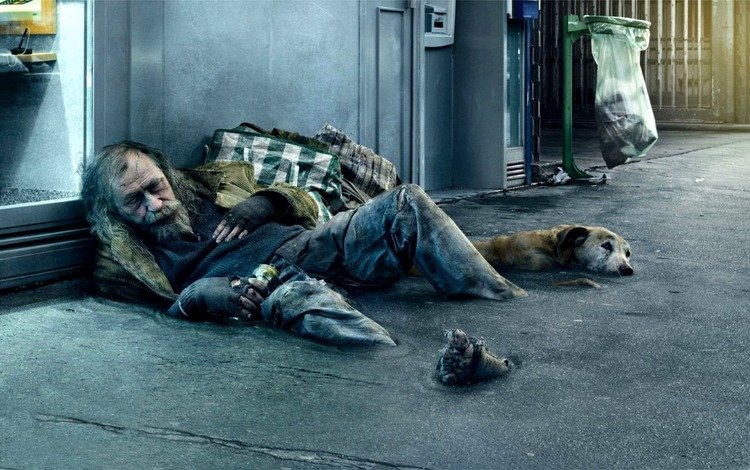 человек, собака, улица, нищий, бездомный, people, dog, street, beggar, homeless
