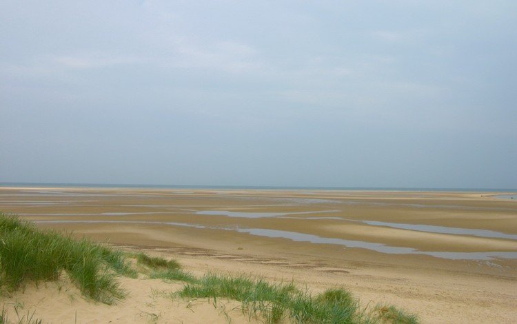 трава, песок, отлив, grass, sand, tide