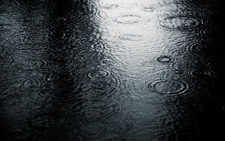 природа, капли, чёрно-белое, холод, дождь, лужа, nature, drops, black and white, cold, rain, puddle