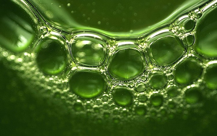 зелень, отражение, пузыри, greens, reflection, bubbles